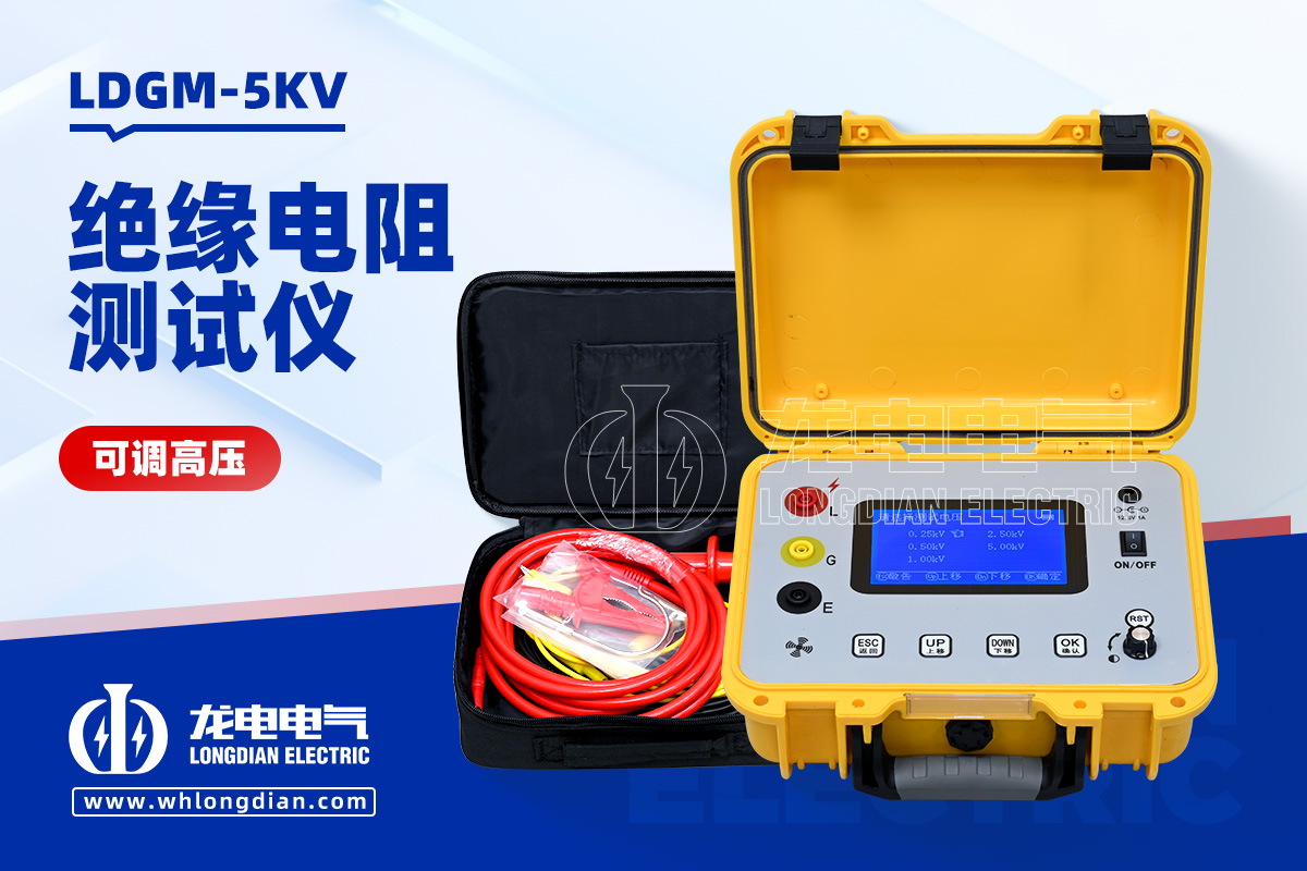 LDGM-5KV 絕緣電阻測(cè)試儀