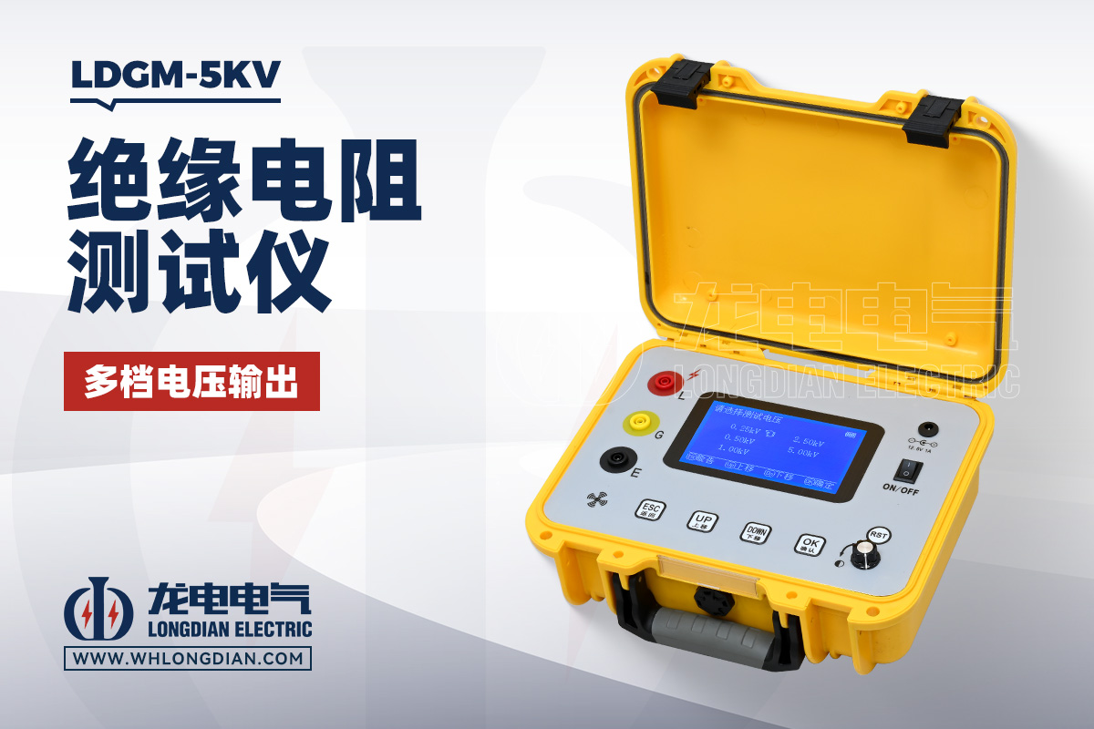 LDGM-5KV 絕緣電阻測試儀