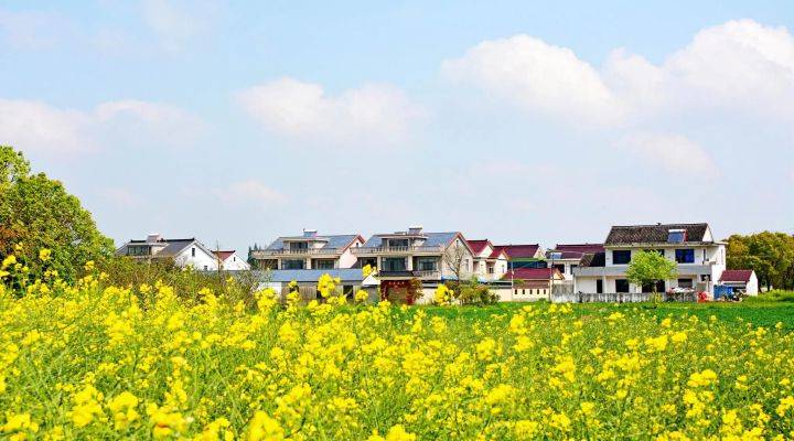 河南焦作市發(fā)文推進農村人居環(huán)境整治、農村污水治理、黑臭水體治理